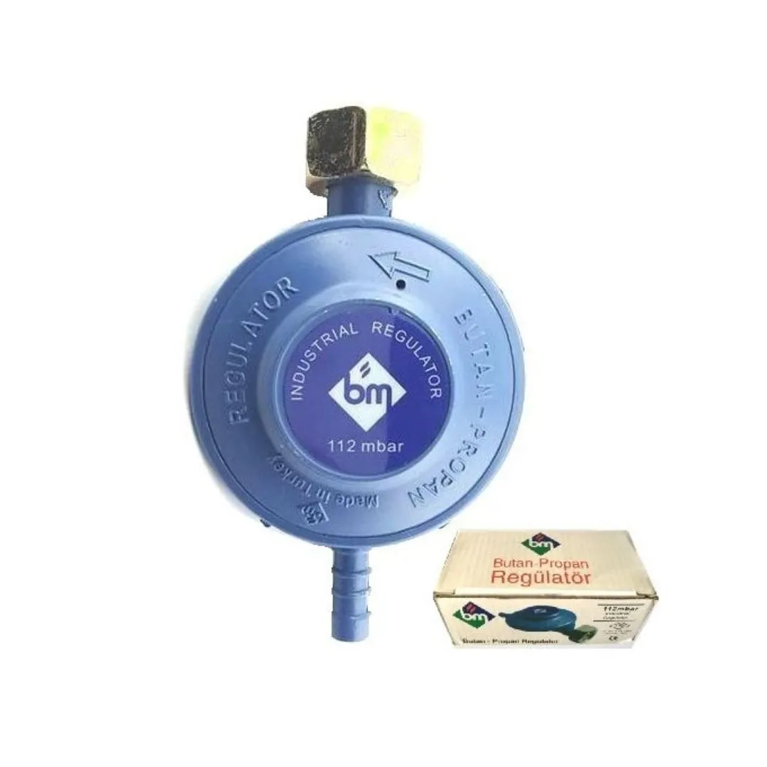 BM 2 Régulateur de gaz, appareil de pression de gaz réglable pour garantir la sécurité d'utilisation.