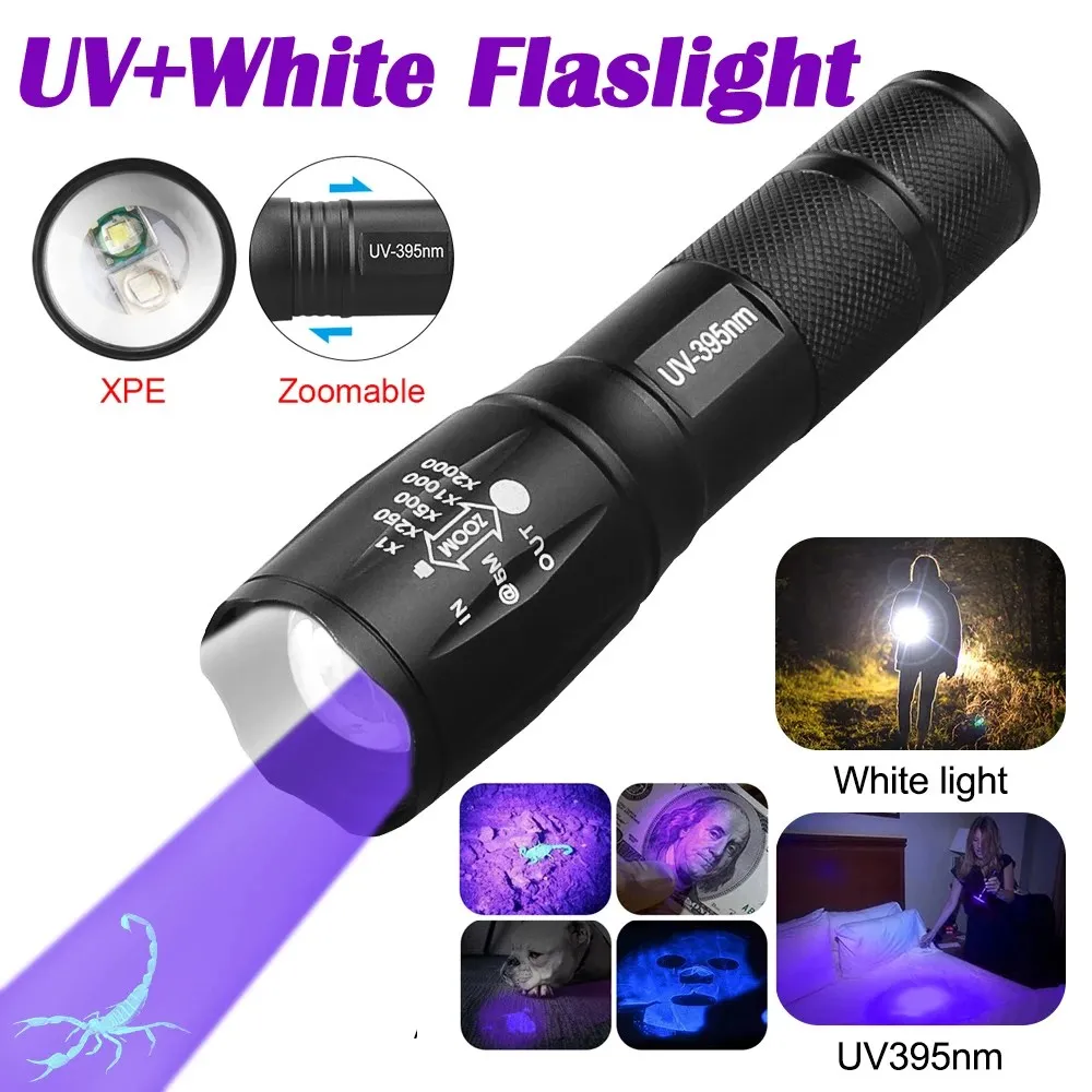 Lampe de poche UV Portable pour Chasse au Scorpion et Détecteur d'Urine d'animaux