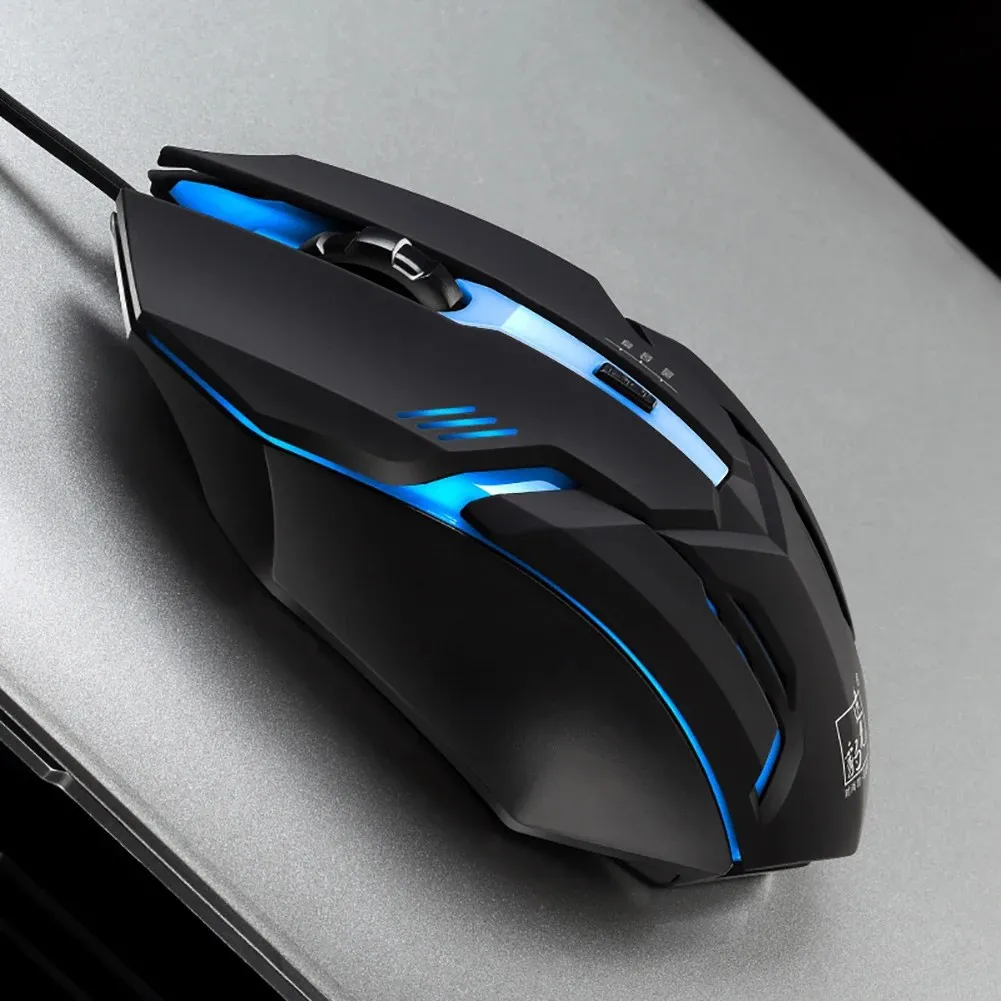 Souris Optique Ergonomique avec Connexion USB