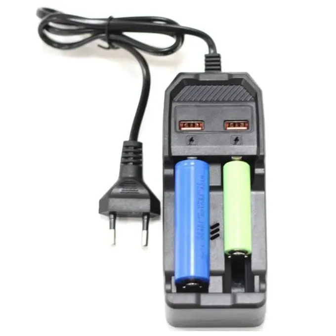 Doublez la puissance avec notre Chargeur de Batterie au Lithium Deux Ports USB