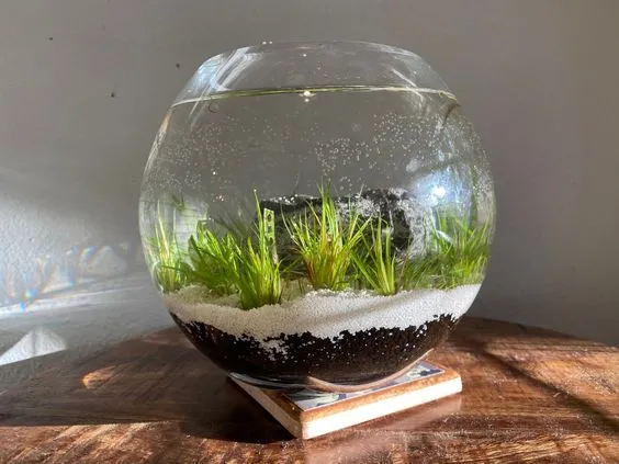 Élégant mini vase en verre de 8 cm une touche de finesse pour votre table