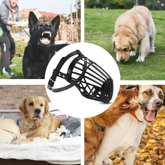 Muselière respirante Confort et sécurité pour votre chien