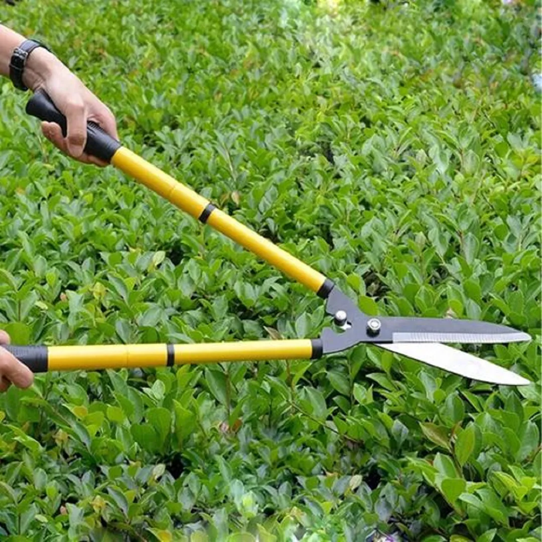 Cisaille à manche long pour arbres, cisaille extensible