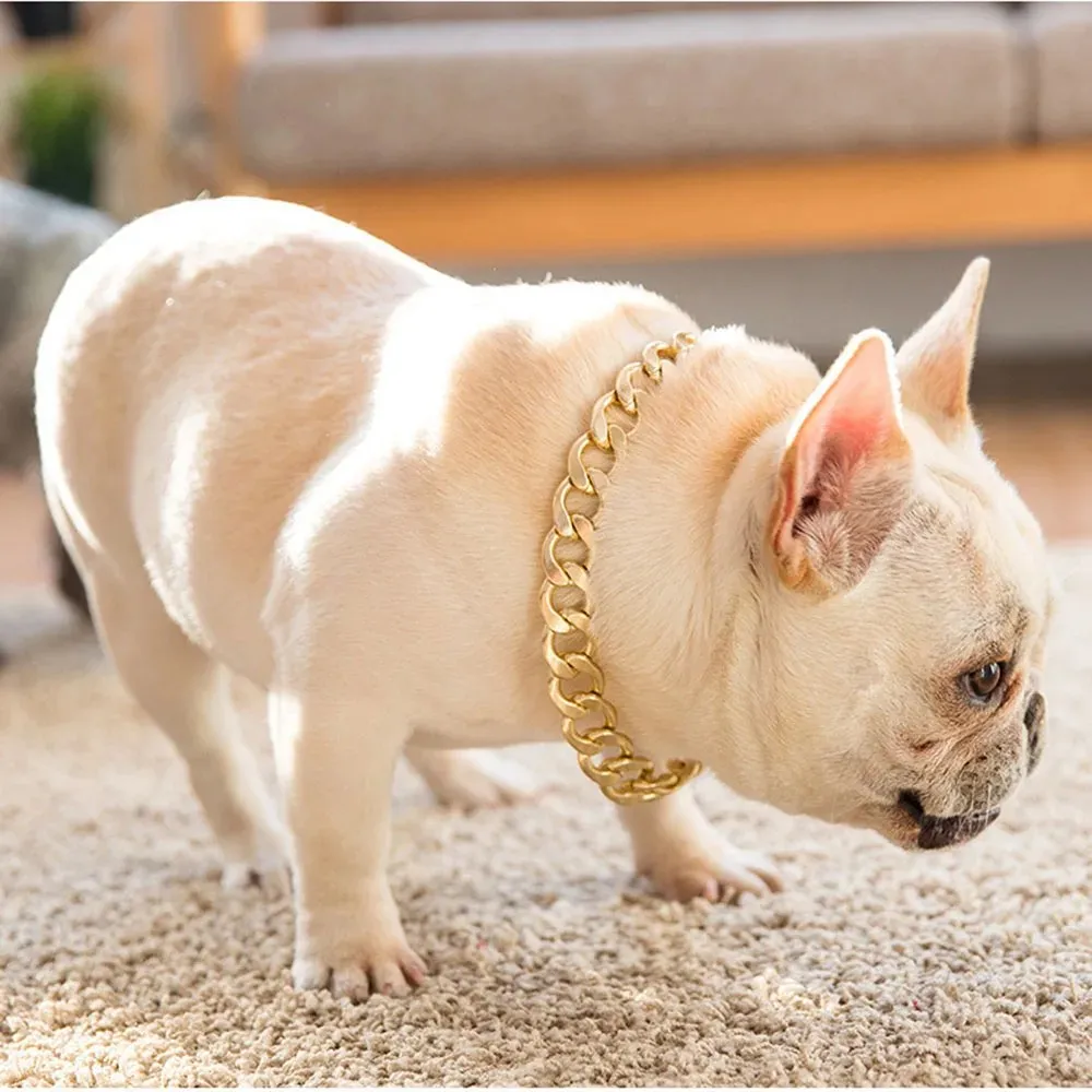 Élégance Intemporelle Collier sans décoloration pour Chiens