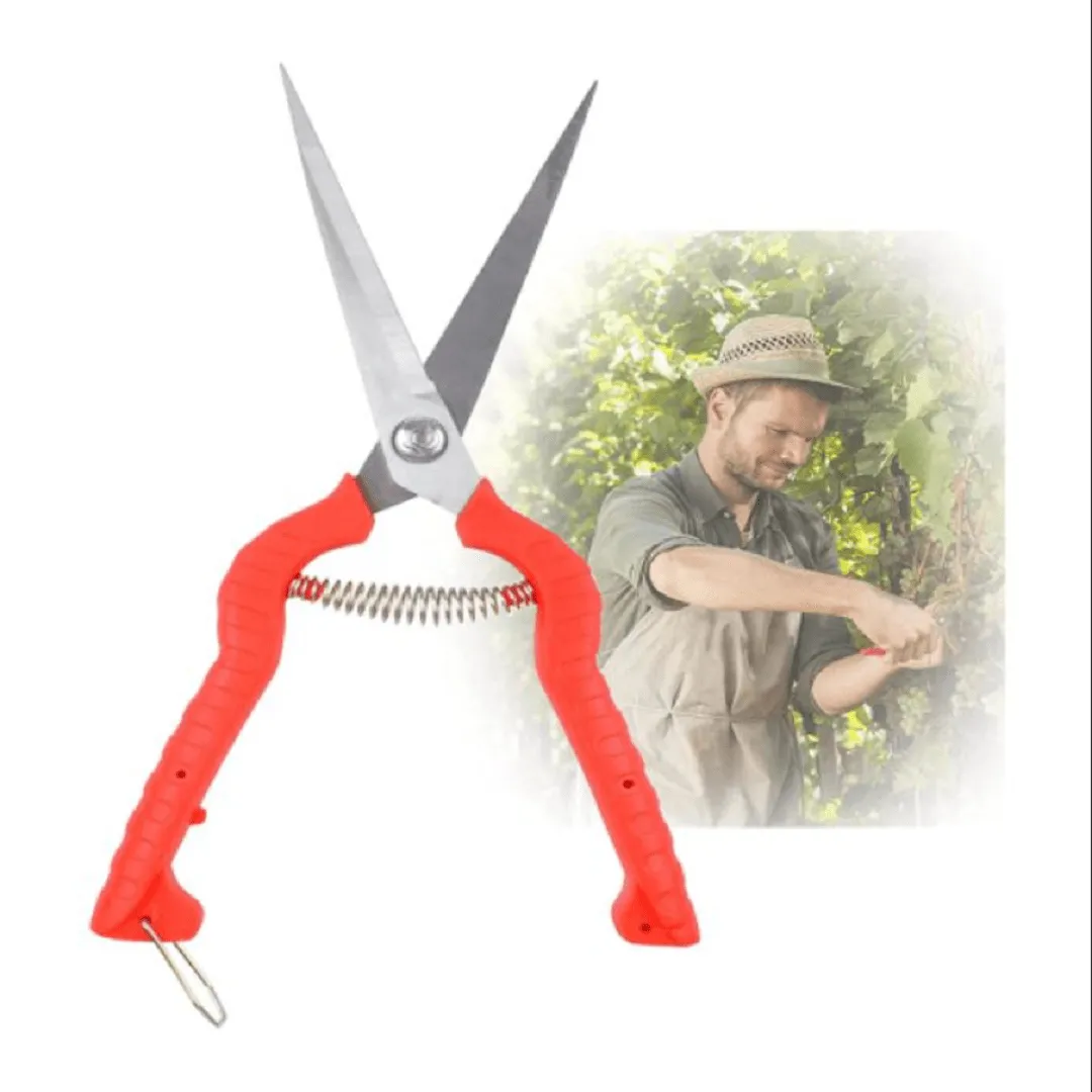 Ciseaux de Taille de Jardin pour une Coupe Parfaite