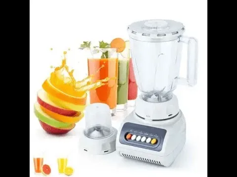 Mixeur de Fruits et Légumes 12 volts