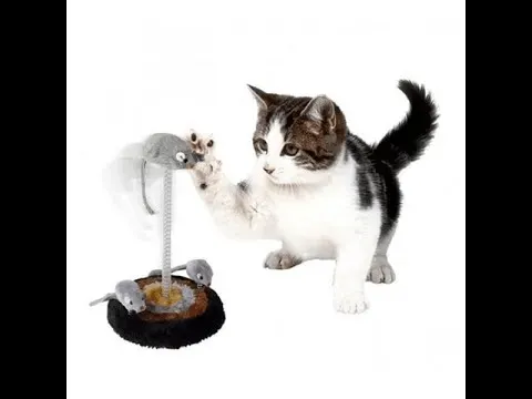 Jeu pour chats, base griffoir en peluche et souris oscillante, Jouet chat
