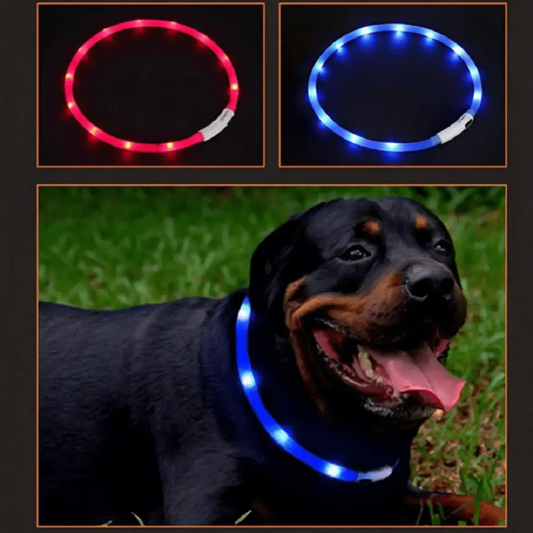 Collier Led clignotant Rechargeable Ceinture pour Chiens plus visible la nuit (colleur aléatoire)