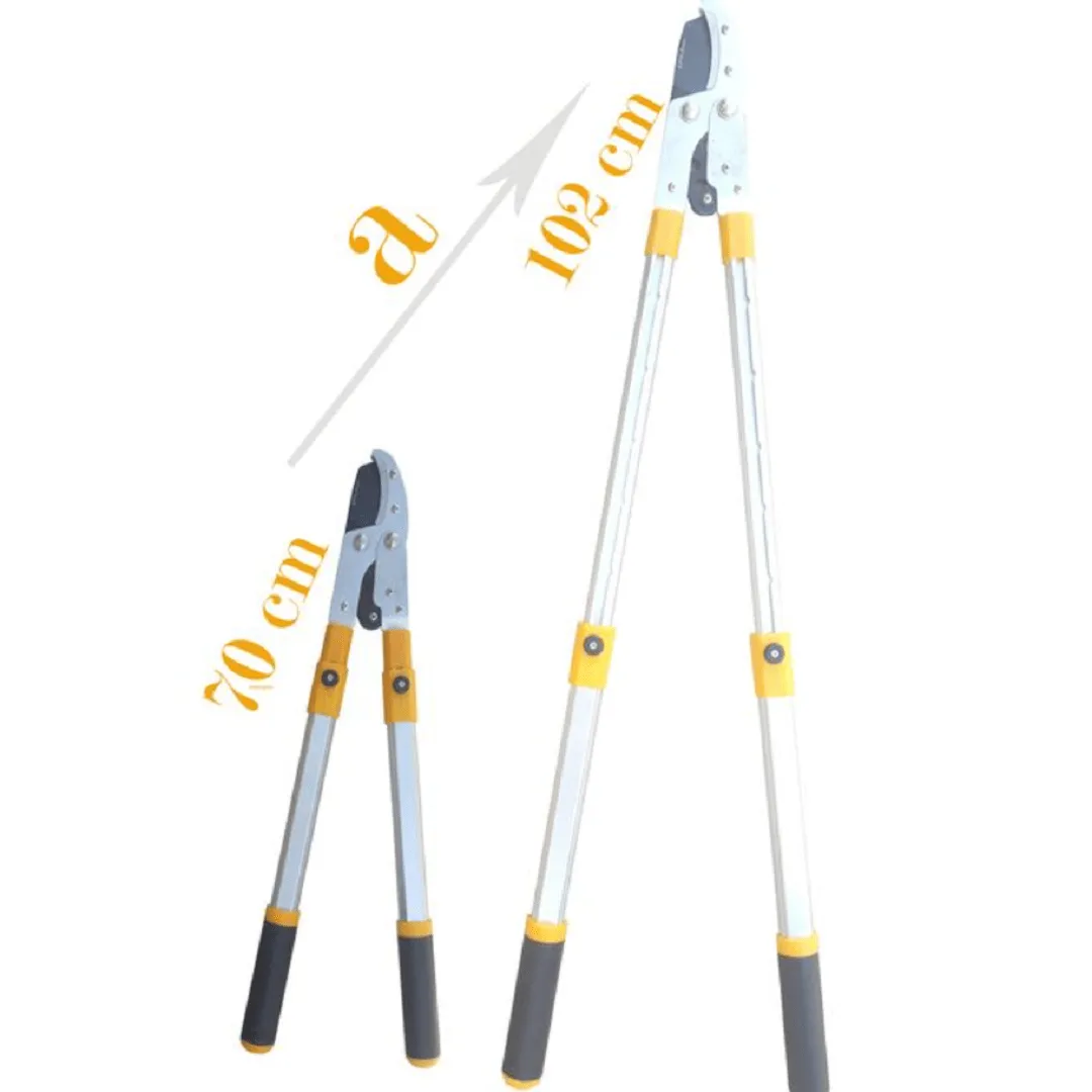 Ciseaux de Branche La Solution Parfaite pour Votre Jardin