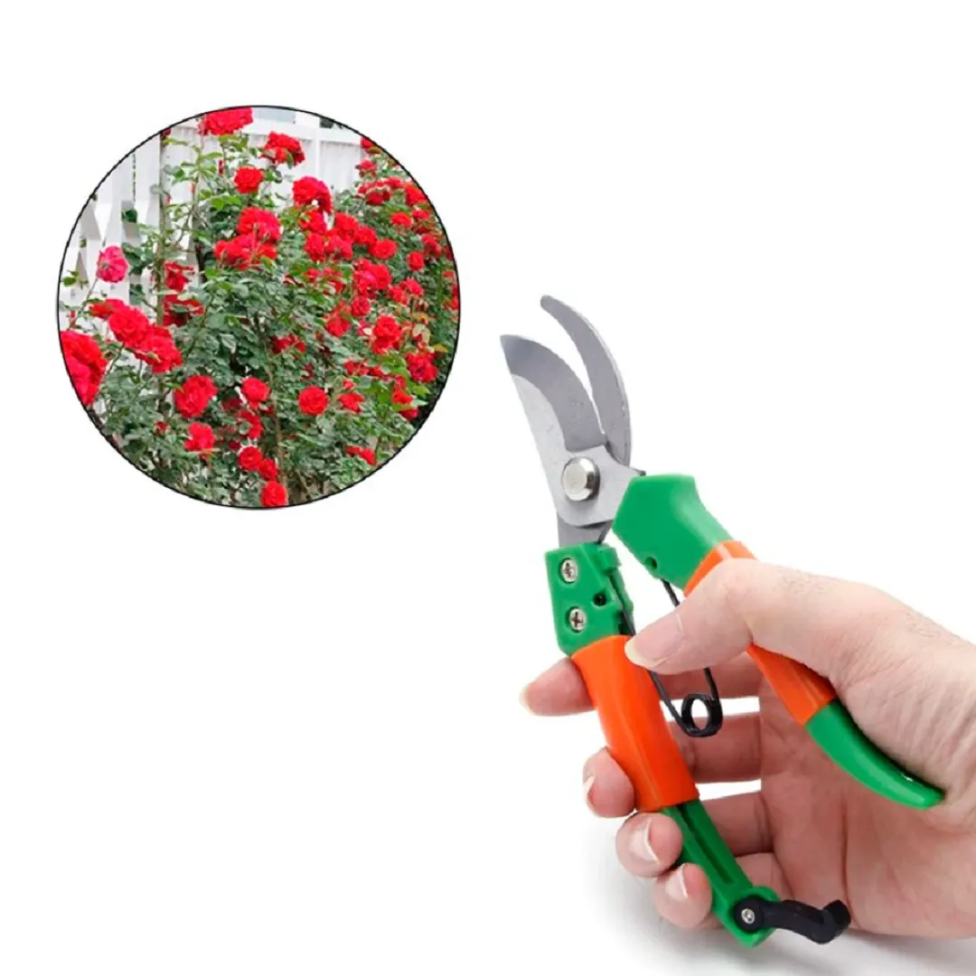 Ciseaux de Jardin de Qualité Supérieure pour une Coupe Précise