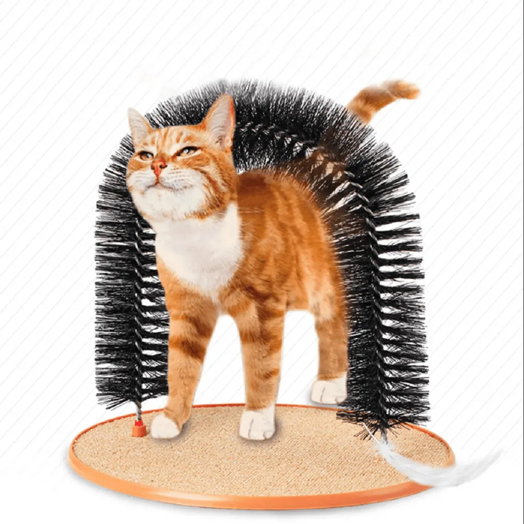 Jouets et Arche de Massage pour Chat en un Seul Produit