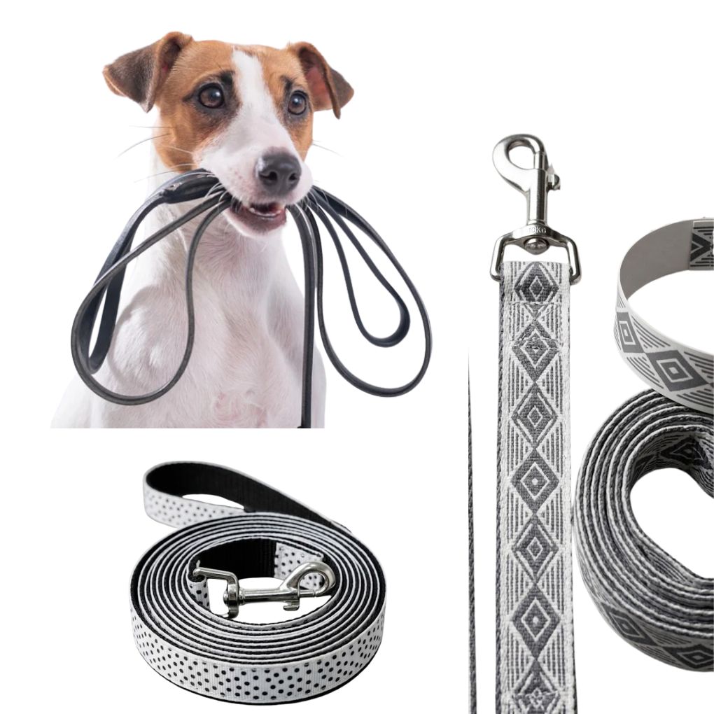 Laisse pour Chien "Style Géométrique" – Collection Black & White – Élégance & Robustesse