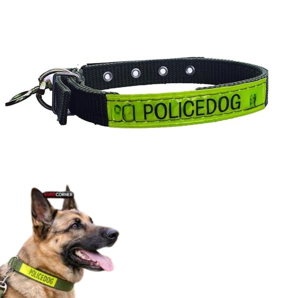 Collier Tactique Haute Visibilité en Nylon Robuste pour Chien de Travail