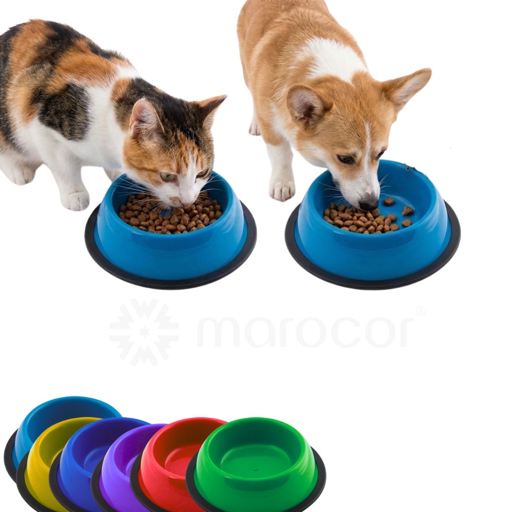 Gamelle ergonomique surélevée antidérapante pour chien et chat