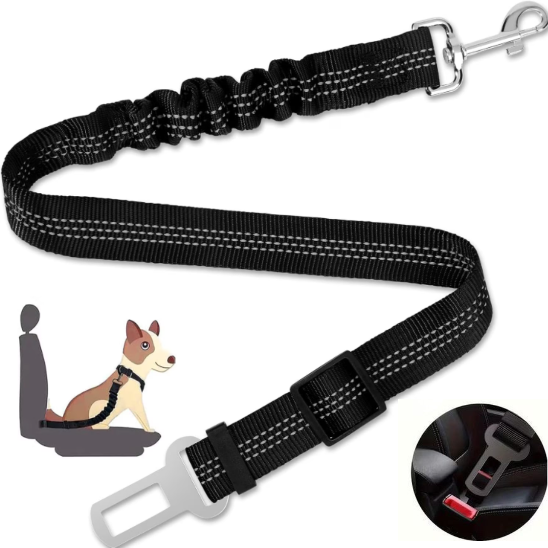 Ceinture de sécurité ajustable pour chien pour toutes tailles